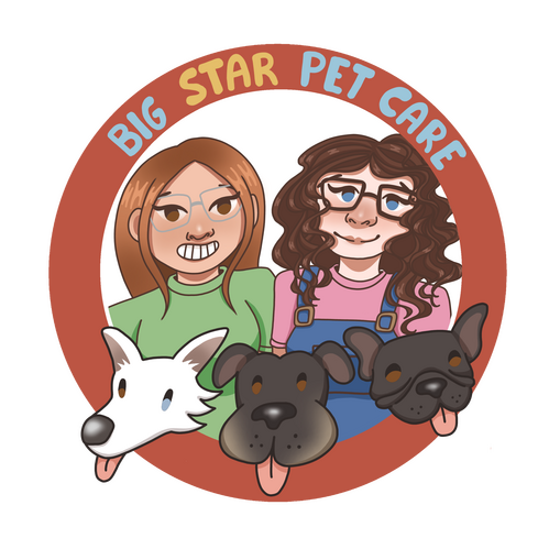 Logo for business Big Star Pet Care
